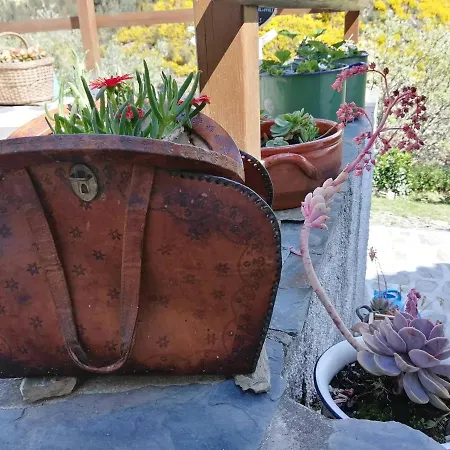 Casa Do Alto - Bed & Breakfast Benfeita