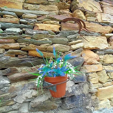 Casa Do Alto - Bed and breakfast