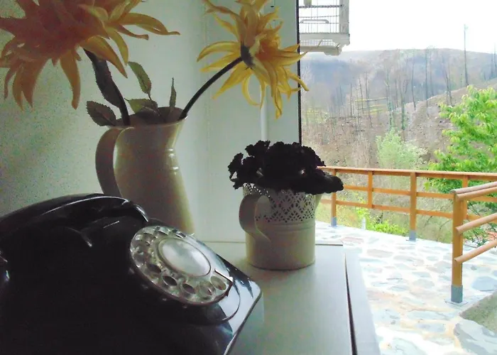 Casa Do Alto - Benfeita