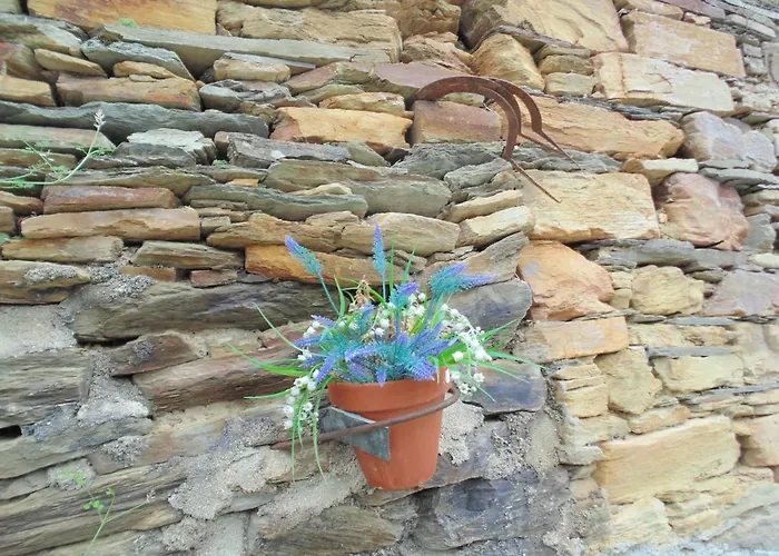 ベッド・アンド・ブレックファスト Casa Do Alto - Benfeita