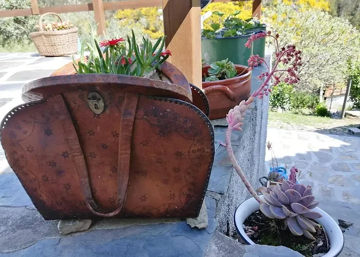 Casa Do Alto - ベッド・アンド・ブレックファスト Benfeita